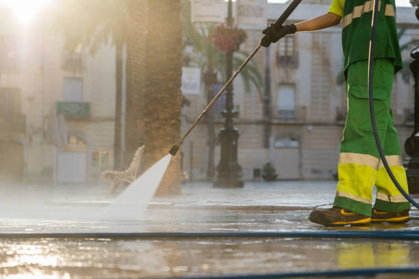 Best Dumpster Area Cleaning  in Tampa, FL